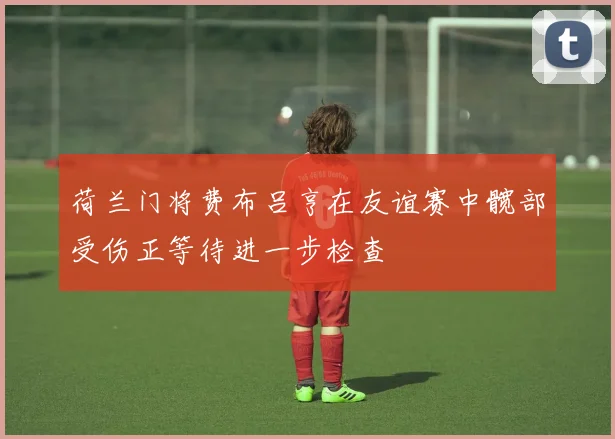 荷兰门将费布吕亨在友谊赛中髋部受伤正等待进一步检查