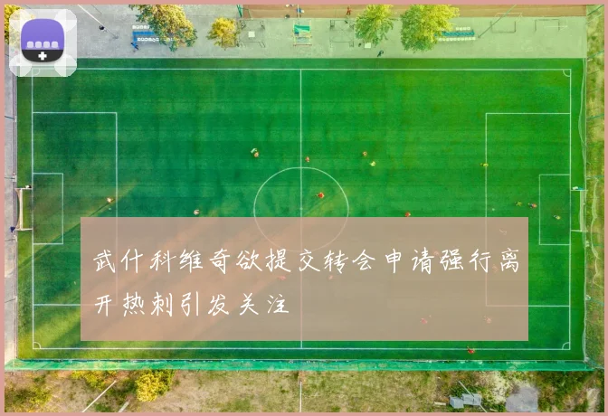 武什科维奇欲提交转会申请强行离开热刺引发关注