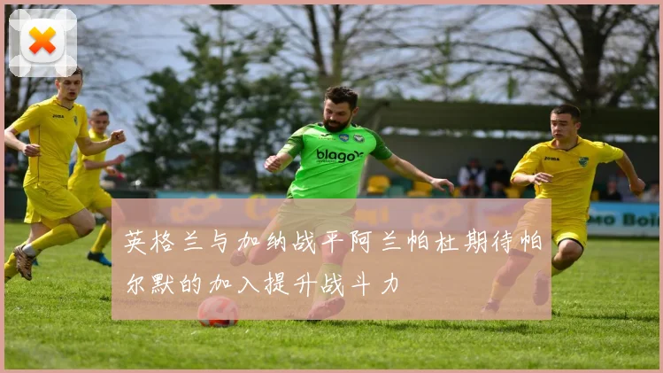 英格兰与加纳战平阿兰帕杜期待帕尔默的加入提升战斗力